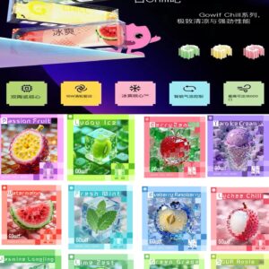 高維 Gowif 18000口｜雙陶瓷芯金屬機身｜Type-C快充 智能數顯 12ml大容量 香港正品發貨