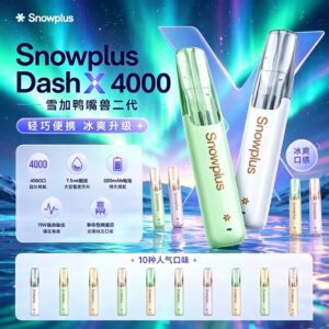 Snowplus Dash X 4000｜雪加鸭嘴兽陶瓷芯可充电一次性雾化